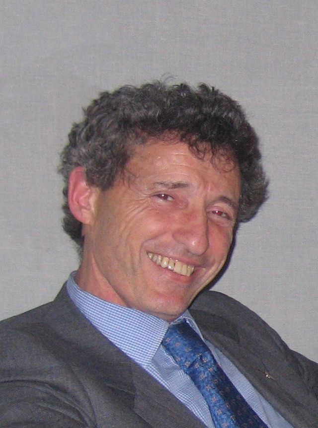 stefano stefanini